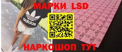 мяу мяу мука Нальчик
