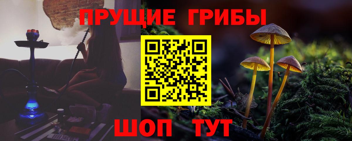 Галлюциногенные грибы Psilocybe  Вход с VPN  Подольск 