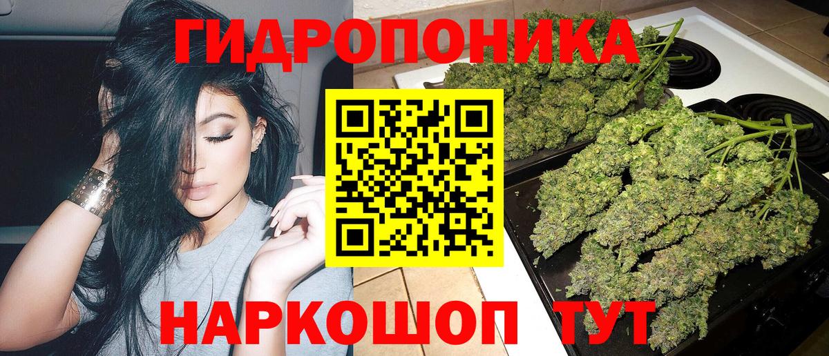 Каннабис конопля Подольск